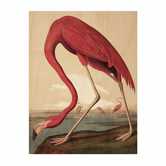 kek-amsterdam-houten-paneel-flamingo-s-45x60cm (1).jpg